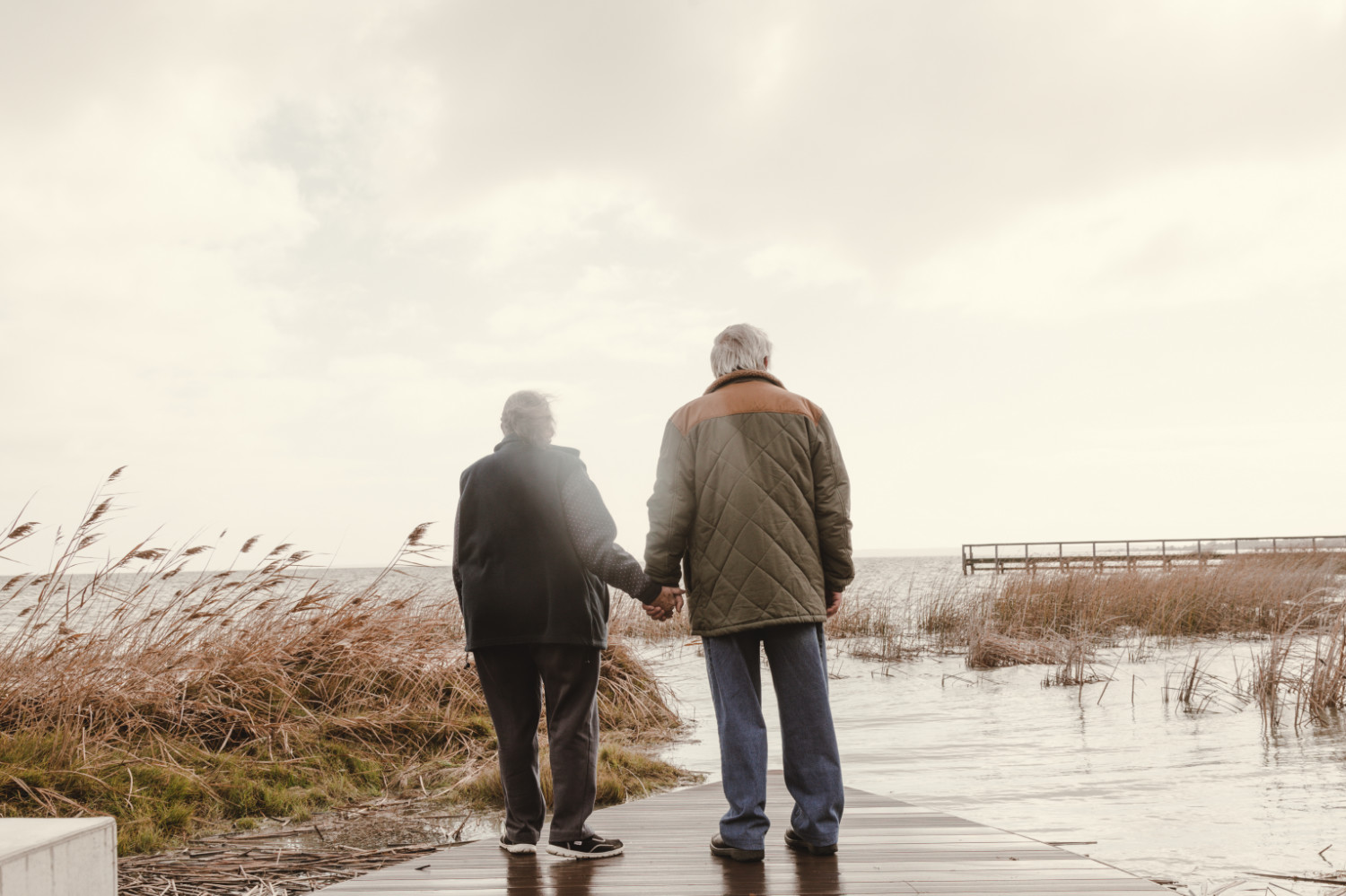 Couple with backs to camera facing the water